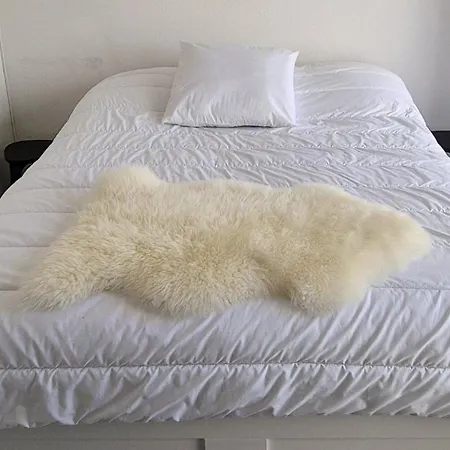 F1 Cosy 45m2, 2 Mn Mer, Du Port, Coeur 公寓