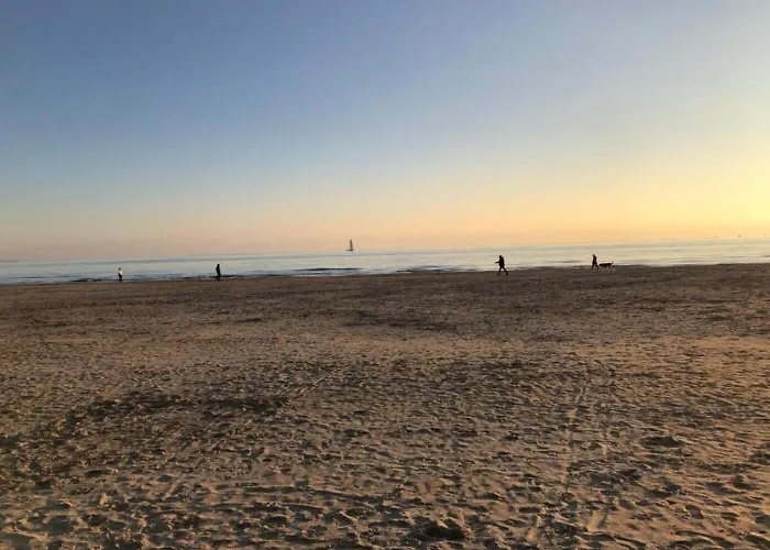 F1 Cosy 45m2, 2 Mn Mer, Du Port, Coeur 拉格朗德默特