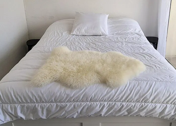 F1 Cosy 45m2, 2 Mn Mer, Du Port, Coeur 公寓